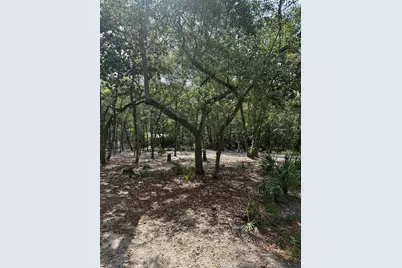 Xx Turquoise Beach Drive, Santa Rosa Beach, FL 32459 - Photo 8