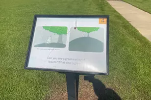 118 Peach Tree St, Paxton, FL 32538 - Photo 32