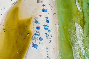 158 Brown St, Santa Rosa Beach, FL 32459 - Photo 46