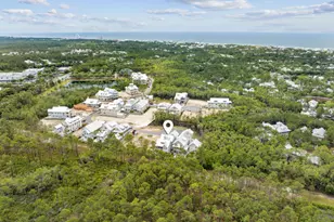 262 Climbing Rose Wy, Santa Rosa Beach, FL 32459 - Photo 42