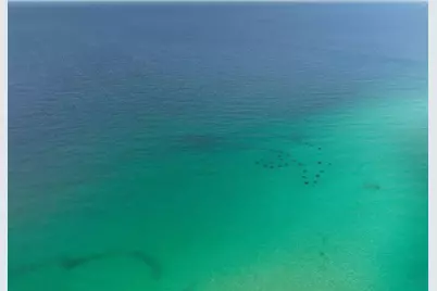 60 Sandprints Drive #UNIT C12, Miramar Beach, FL 32550 - Photo 46