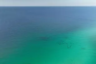 60 Sandprints Dr, Miramar Beach, FL 32550 - Photo 46