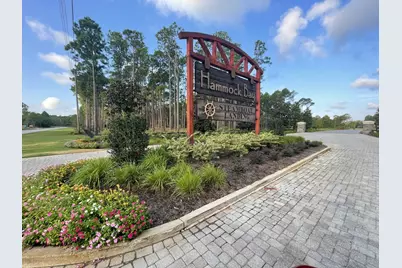 38 Camellia Court, Freeport, FL 32439 - Photo 88
