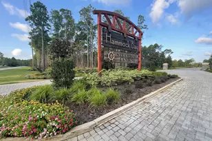 38 Camellia Ct, Freeport, FL 32439 - Photo 88