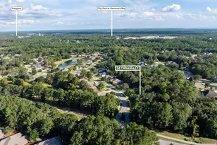 38 Camellia Ct, Freeport, FL 32439 - Photo 40