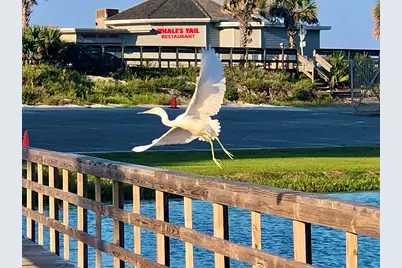 885 Seascape Drive #UNIT 313, Miramar Beach, FL 32550 - Photo 28