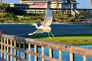885 Seascape Dr, Miramar Beach, FL 32550 - Photo 28