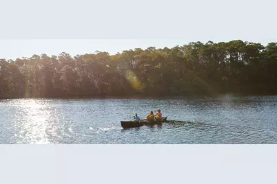 264 Pollard Cove East #Lot 123, Watersound, FL 32461 - Photo 22