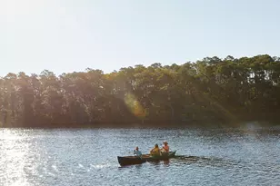 264 Pollard Cv E, Watersound, FL 32461 - Photo 22