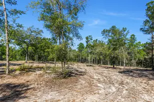 4005 Rock Hill Rd, Defuniak Springs, FL 32435 - Photo 40