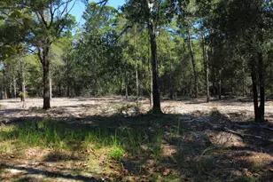 4005 Rock Hill Rd, Defuniak Springs, FL 32435 - Photo 64