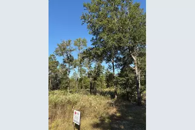 Lot 48 Howlin Road, Defuniak Springs, FL 32433 - Photo 4