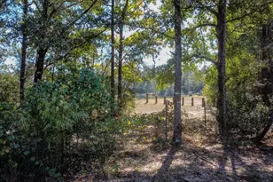 1249 Martin Rd, Defuniak Springs, FL 32433 - Photo 32