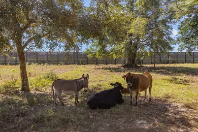 13796 Fl-81, Ponce de Leon, FL 32455 - Photo 144