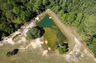 13796 FL-81, Ponce de Leon, FL 32455 - Photo 164