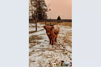 13796 Fl-81, Ponce de Leon, FL 32455 - Photo 142