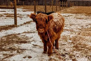 13796 FL-81, Ponce de Leon, FL 32455 - Photo 142