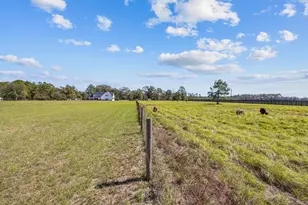 13796 FL-81, Ponce de Leon, FL 32455 - Photo 156