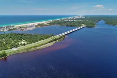 21 W Queen Palm Drive W, Inlet Beach, FL 32461 - Photo 78