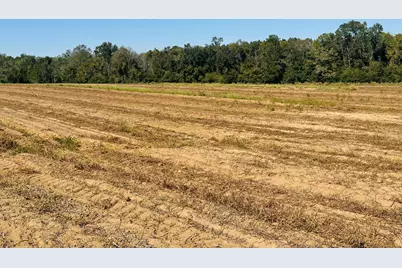 Lot 7 E Highway 2 Highway E, Bonifay, FL 32425 - Photo 4