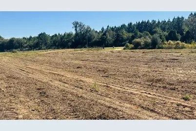 Lot 7 E Highway 2 Highway E, Bonifay, FL 32425 - Photo 8