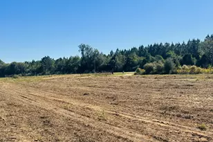 Lot 7 E Hwy 2 Hwy, Bonifay, FL 32425 - Photo 8