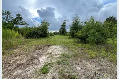 6807 John Pitts Road, Panama City, FL 32404 - Photo 4