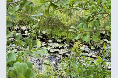 6807 John Pitts Road, Panama City, FL 32404 - Photo 8