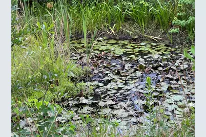 6807 John Pitts Road, Panama City, FL 32404 - Photo 2