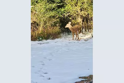 5406 Steele Road, Baker, FL 32531 - Photo 40