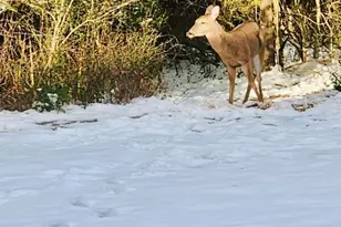5406 Steele Rd, Baker, FL 32531 - Photo 40