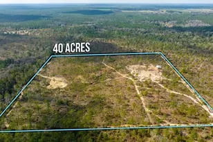 6150 Sherman Kennedy Rd, Baker, FL 32531 - Photo 42