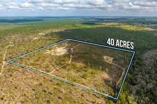 6150 Sherman Kennedy Rd, Baker, FL 32531 - Photo 20