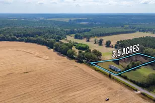 1950 Prescott Rd, Florala, AL 36442 - Photo 42