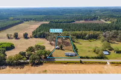 1950 Prescott Road, Florala, AL 36442 - Photo 2