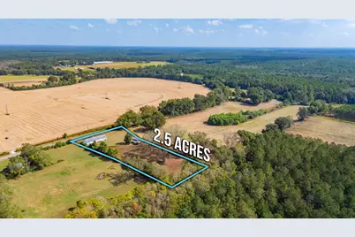 1950 Prescott Road, Florala, AL 36442 - Photo 40