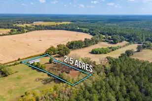 1950 Prescott Rd, Florala, AL 36442 - Photo 40