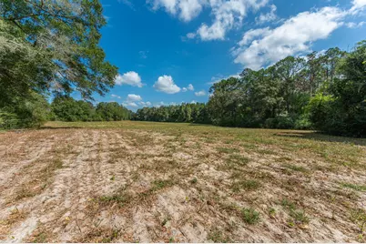 1950 Prescott Road, Florala, AL 36442 - Photo 48