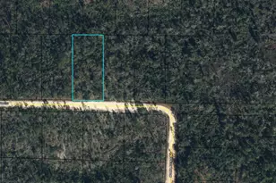 Lot 40 Poppy St, Marianna, FL 32448 - Photo 1