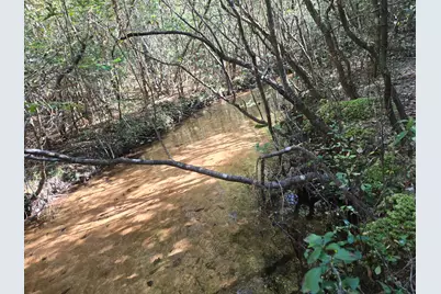 00 Boy Scout Road, Defuniak Springs, FL 32435 - Photo 1