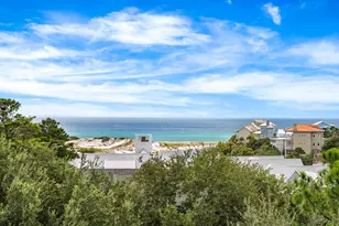 33 S Branch Road S, Santa Rosa Beach, FL 32459 - Photo 48