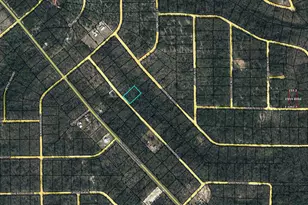 Lot 54 Papaya St, Marianna, FL 32448 - Photo 1