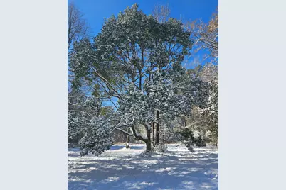 607 Hewett Road, Defuniak Springs, FL 32435 - Photo 14