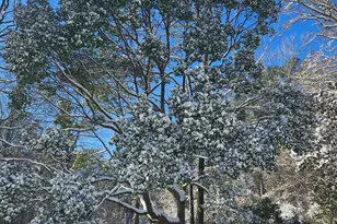 607 Hewett Rd, Defuniak Springs, FL 32435 - Photo 14