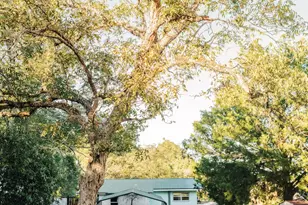 23186 Dewight Stone Ave, Florala, AL 36442 - Photo 6