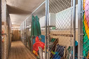 955 Scenic Gulf Dr, Miramar Beach, FL 32550 - Photo 46