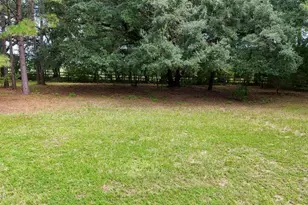 3754 Annie Rd, Marianna, FL 32446 - Photo 28