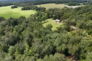 3754 Annie Rd, Marianna, FL 32446 - Photo 20