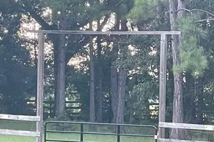 3754 Annie Rd, Marianna, FL 32446 - Photo 24