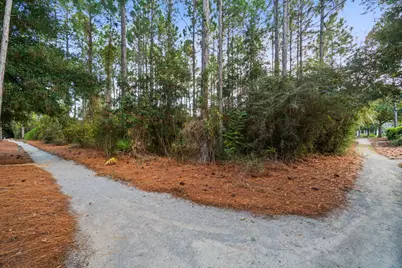 654 Breakers Street, Inlet Beach, FL 32461 - Photo 76